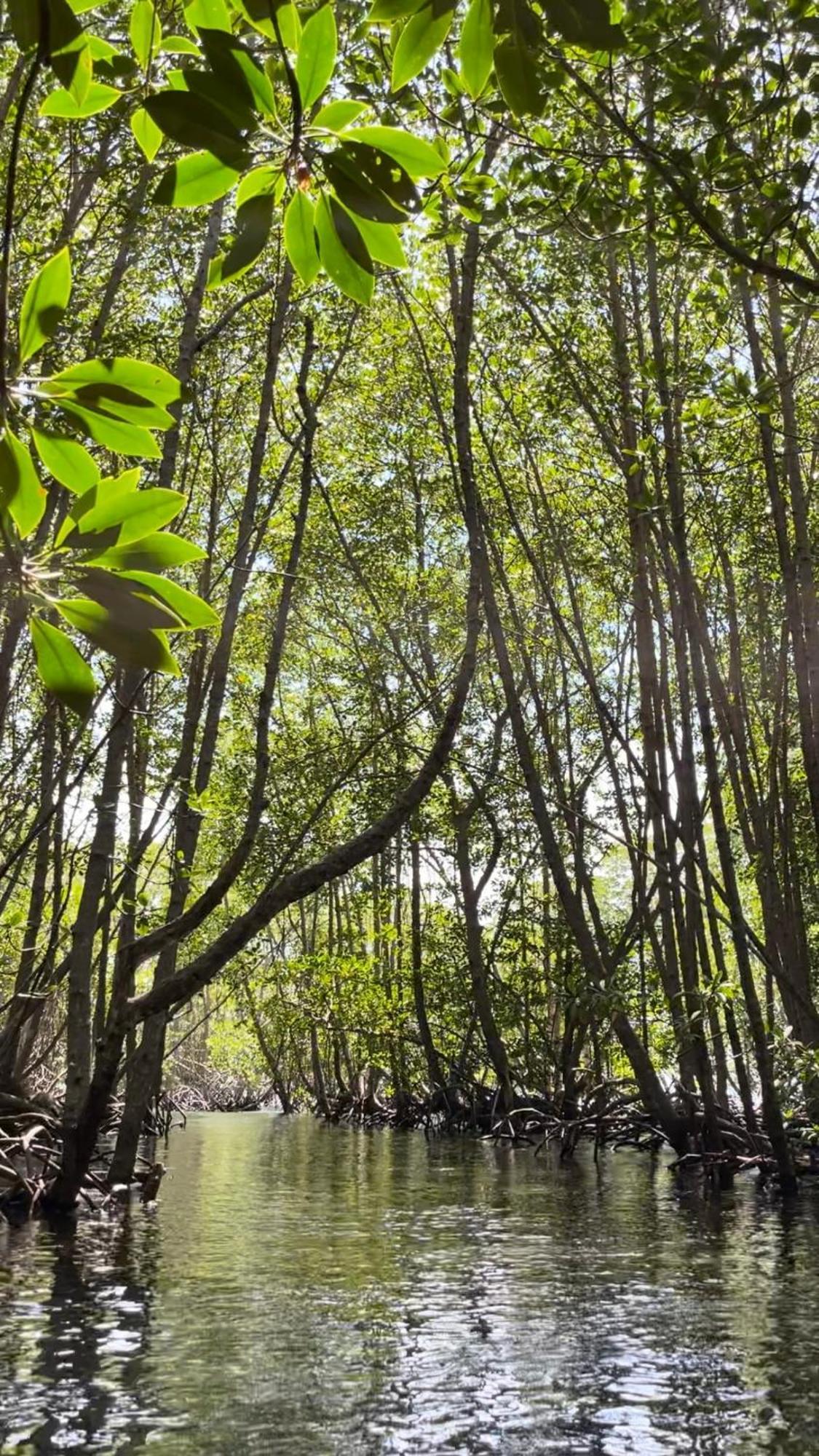 Mangrove Beach Hut Nusa Lembongan  Exterior photo